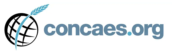 logo concaes