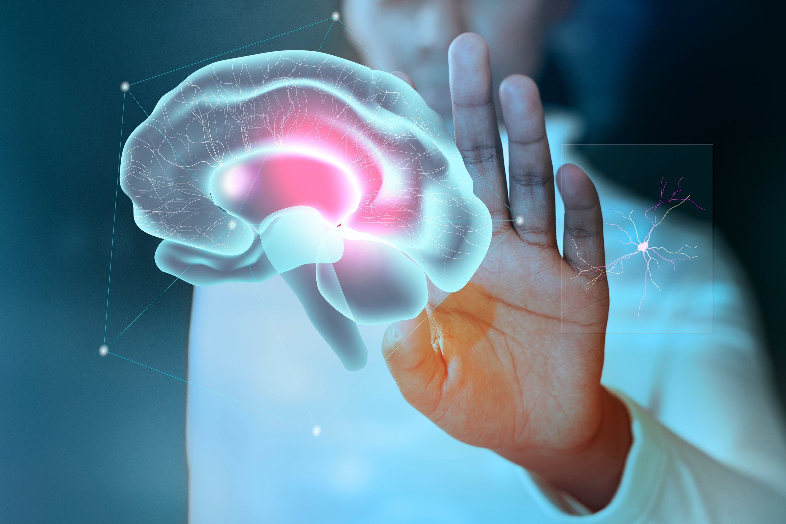 Curso de Verano sobre como aprender con sentido: una mirada desde la neuroeducación Curso de Verano sobre como aprender con sentido: una mirada desde la neuroeducación